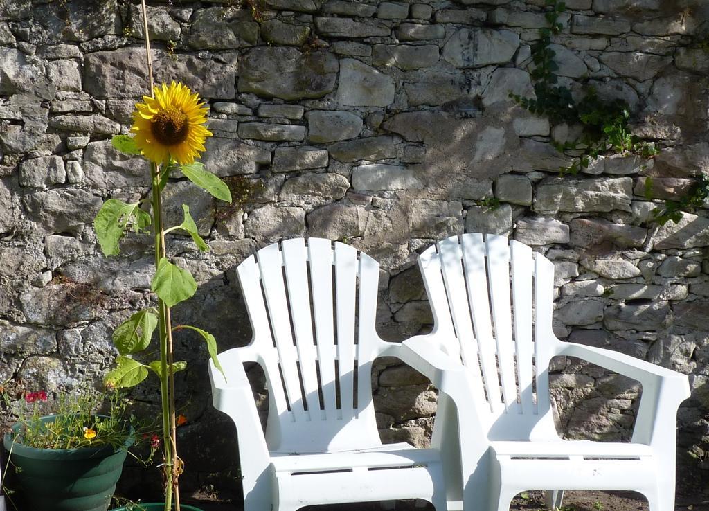 Rose Cottage Millport Εξωτερικό φωτογραφία